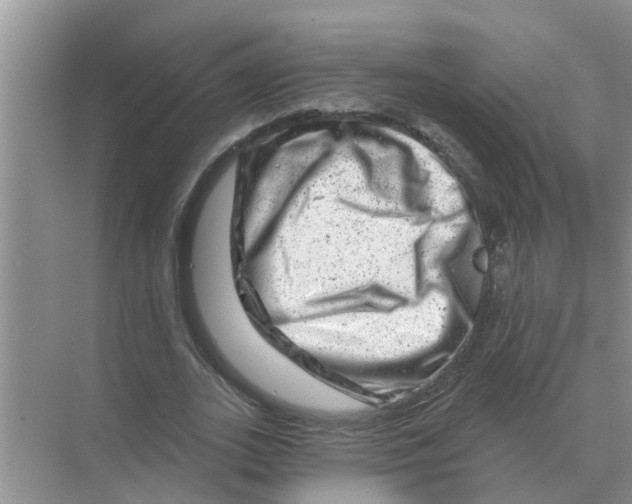 X0000074340727200609230117