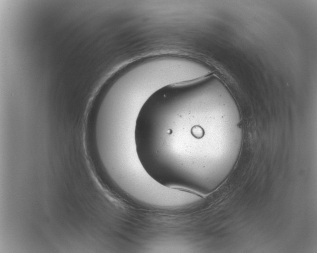 X0000074340728200609230117