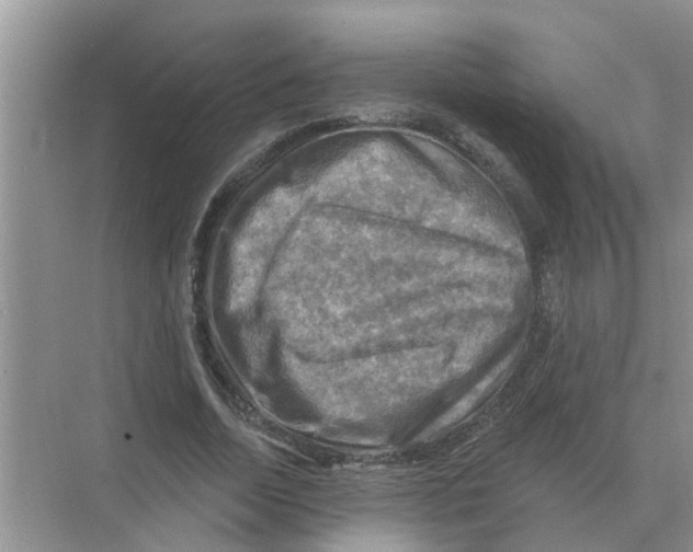 X0000074340730200609230117