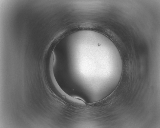 X0000074340731200609230117