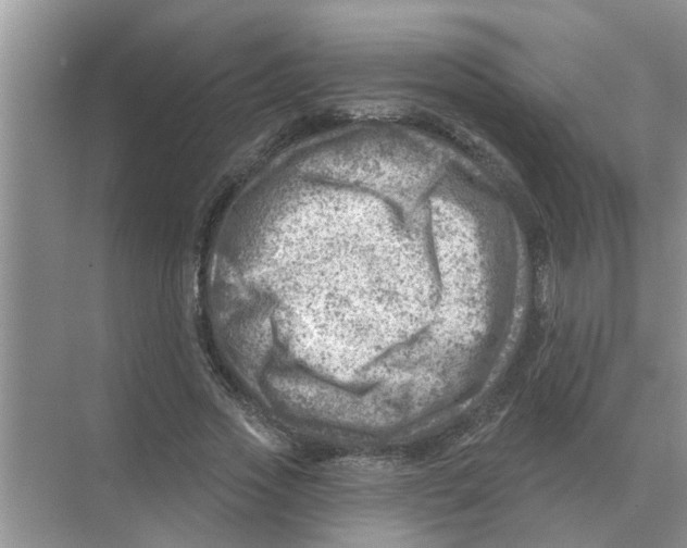 X0000074340733200609230117