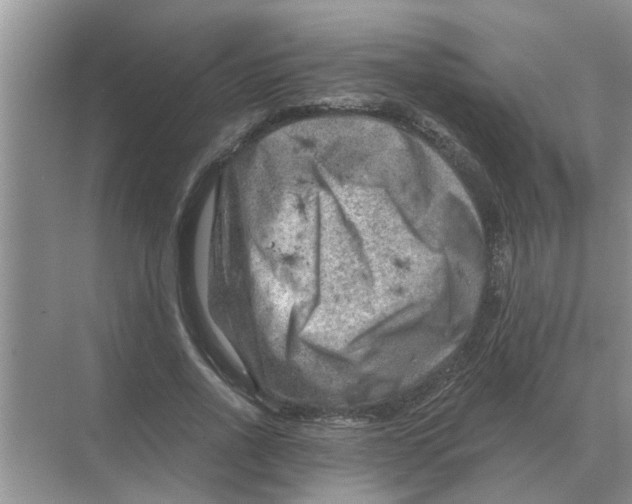 X0000074340734200609230117