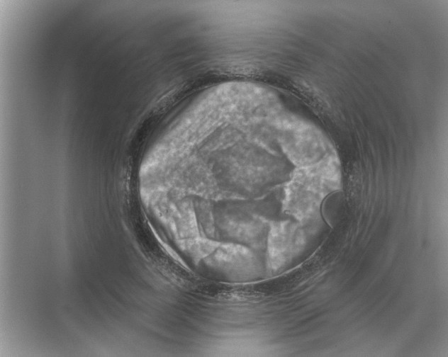 X0000074340739200609230117