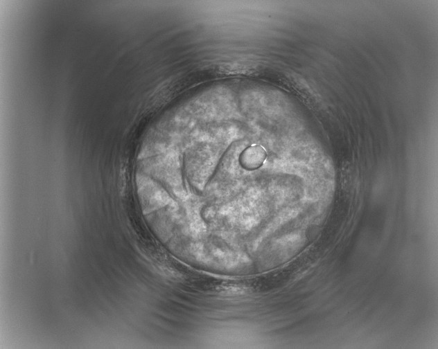 X0000074340741200609230117