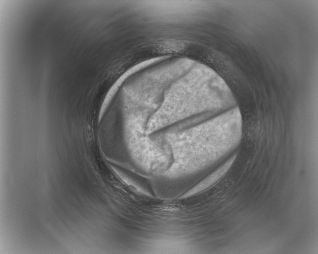 X0000074340743200609230117