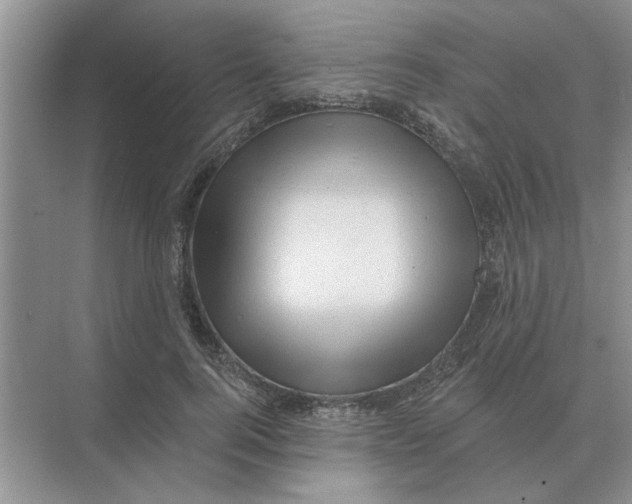 X0000074340744200609230117