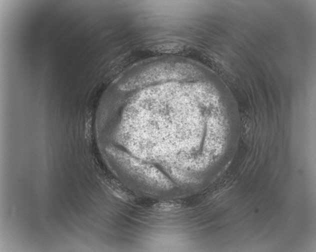 X0000074340745200609230117