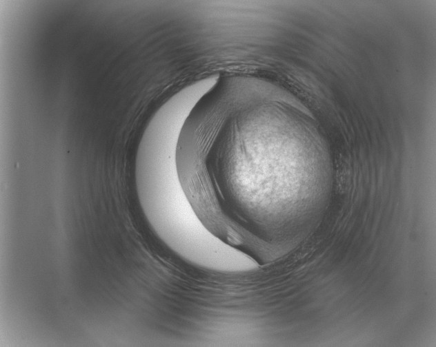 X0000074340748200609230118