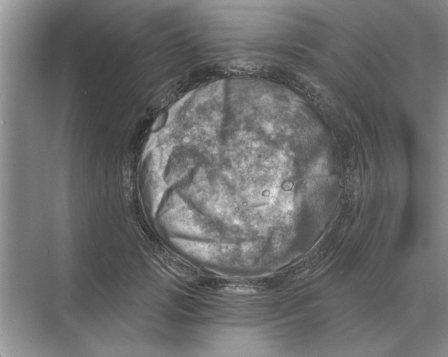 X0000074340749200609230118