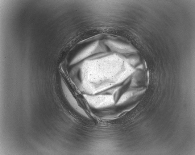 X0000074340750200609230118