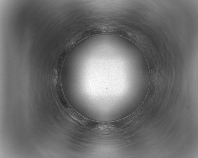 X0000074340752200609230118