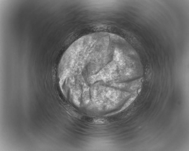 X0000074340753200609230118