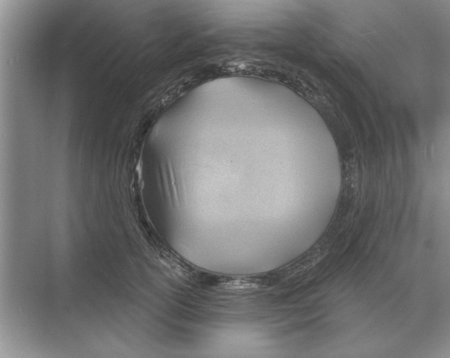 X0000074340754200609230118