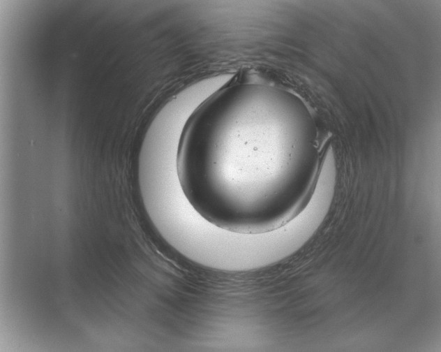 X0000074340756200609230118