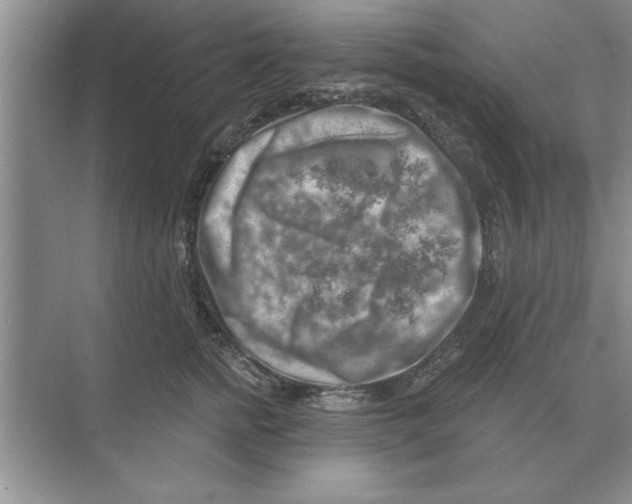 X0000074340758200609230118