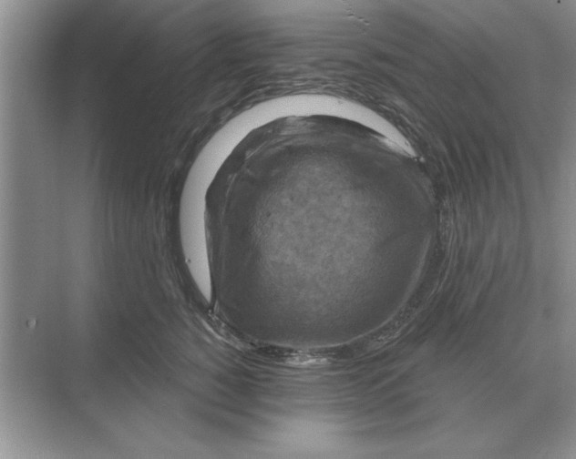 X0000074340760200609230118