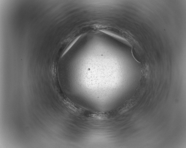 X0000074340763200609230118