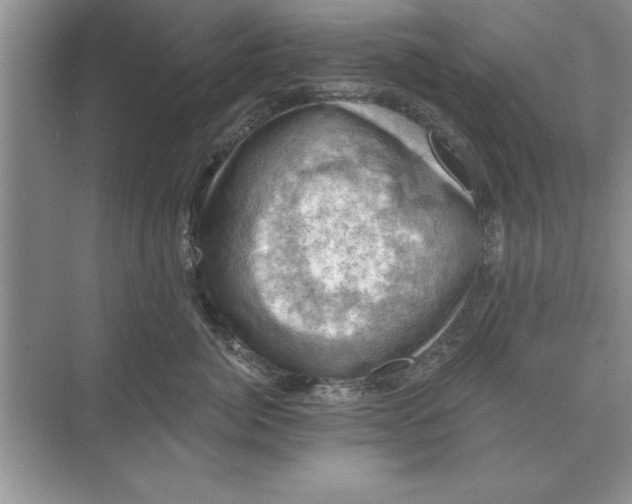 X0000074340764200609230118