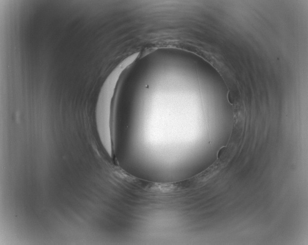 X0000074340767200609230118