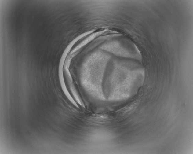 X0000074340768200609230118