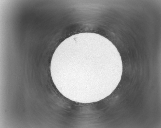 X0000074340769200609230117