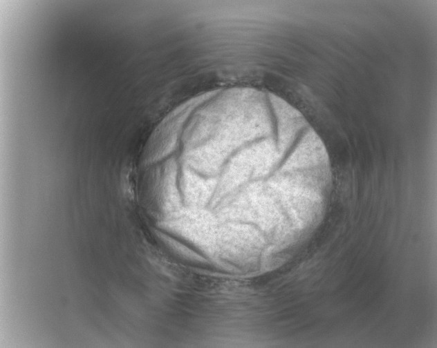 X0000074340770200609230117