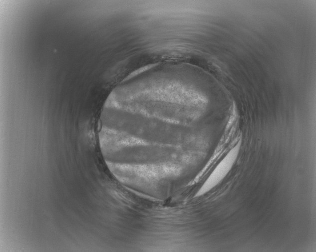 X0000074340771200609230117