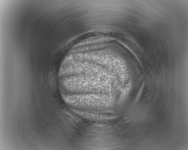 X0000074340773200609230117