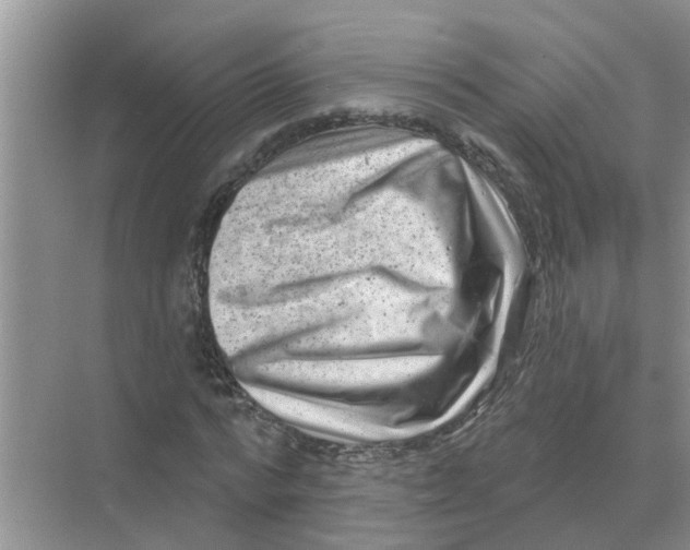 X0000074340776200609230117