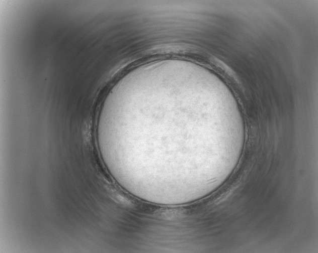 X0000074340778200609230117