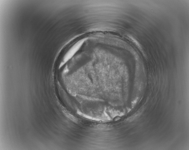 X0000074340779200609230117