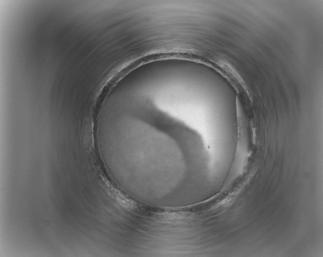 X0000074340781200609230117