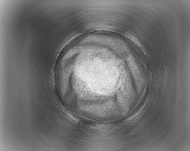 X0000074340782200609230117