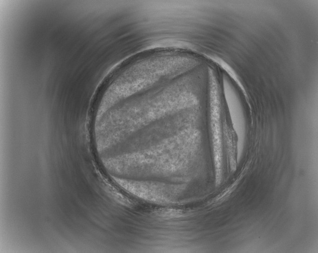 X0000074340783200609230117