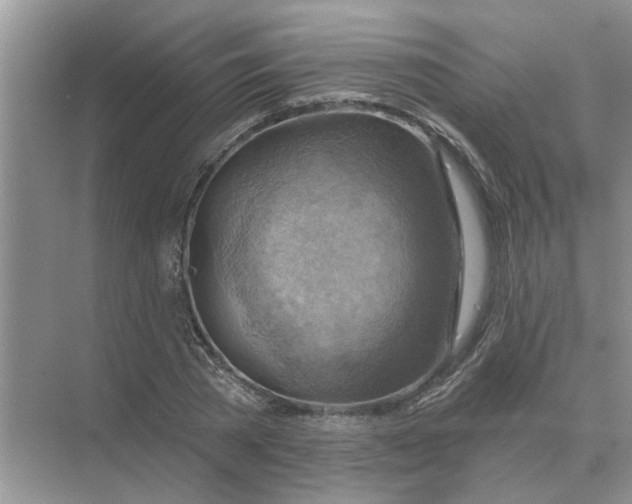 X0000074340785200609230117