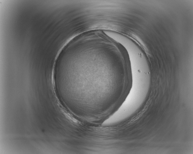 X0000074340788200609230117