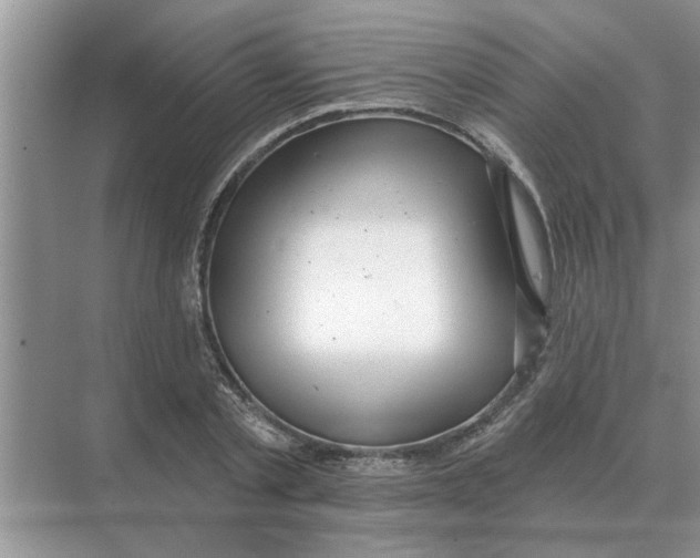 X0000074340789200609230117