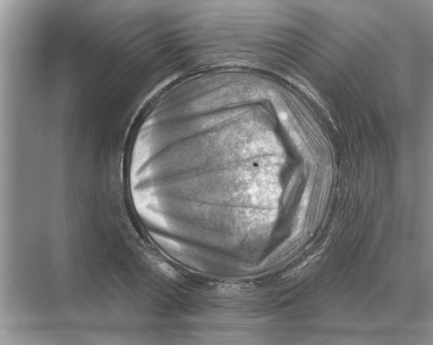 X0000074340790200609230117