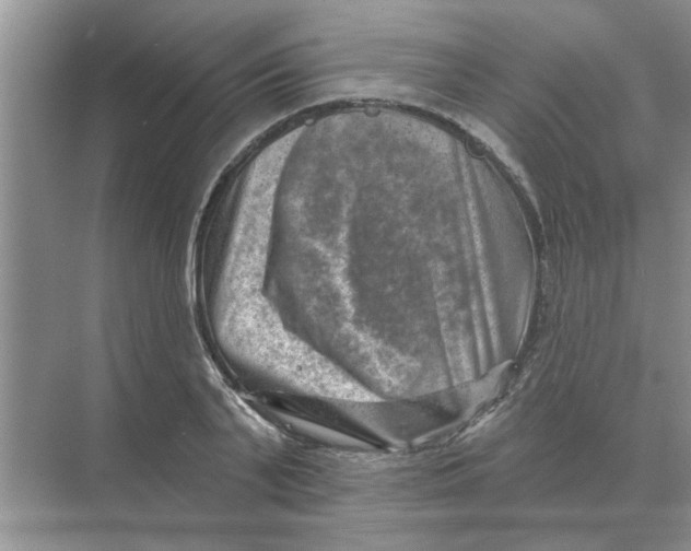 X0000074340791200609230117