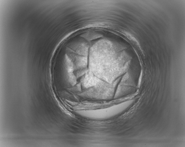 X0000074340792200609230117