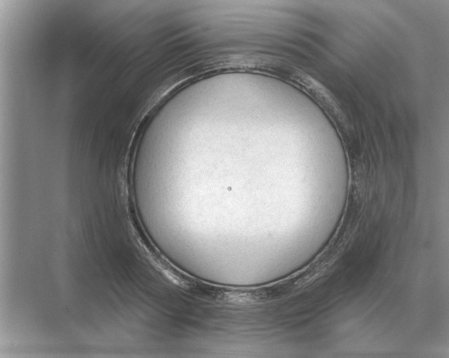 X0000074340794200609230117