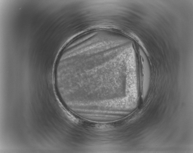 X0000074340795200609230117