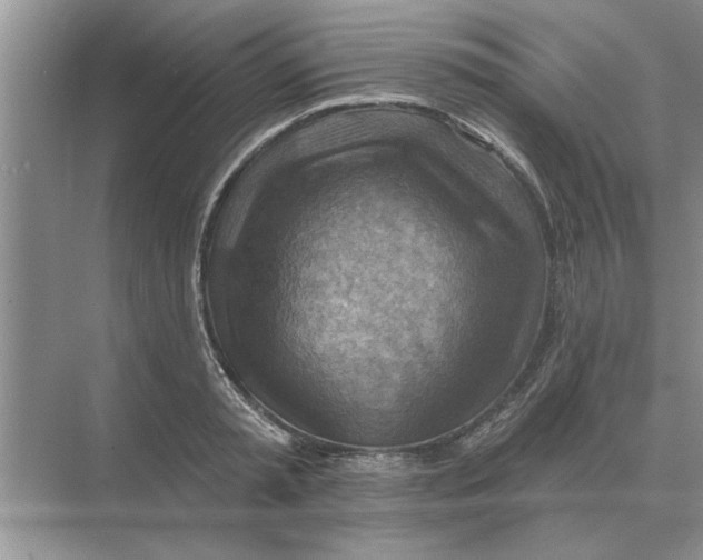 X0000074340797200609230117