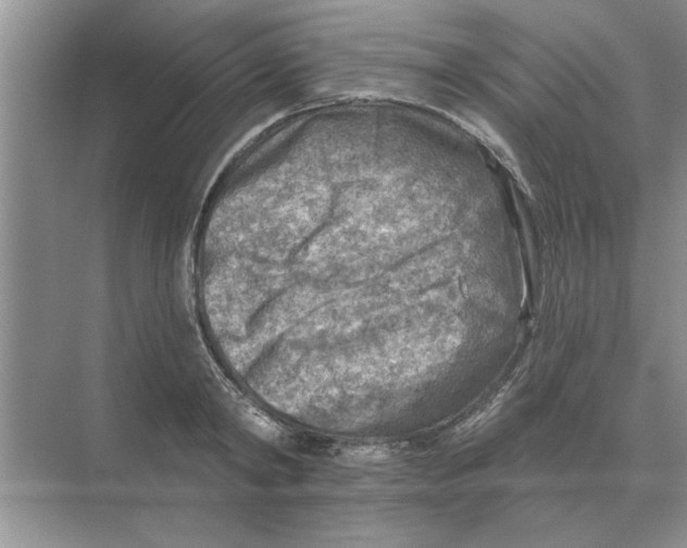 X0000074340798200609230117