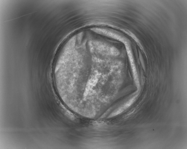 X0000074340799200609230117