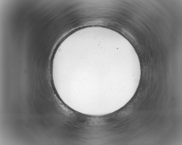 X0000074340800200609230117