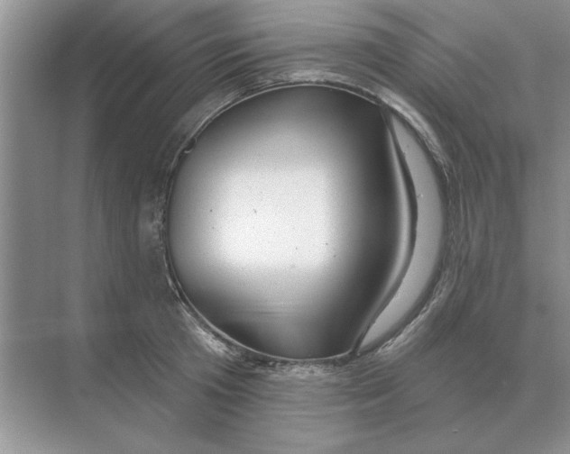 X0000074340801200609230117