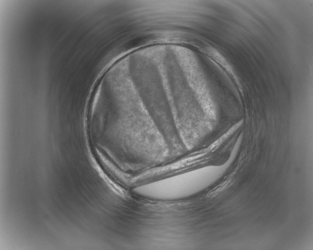 X0000074340803200609230116