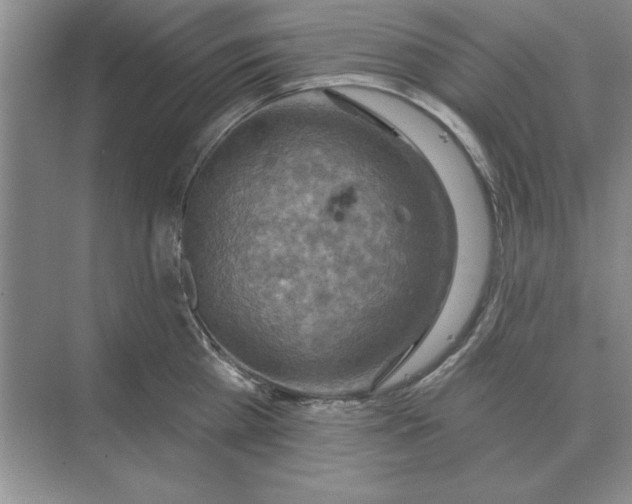 X0000074340809200609230116