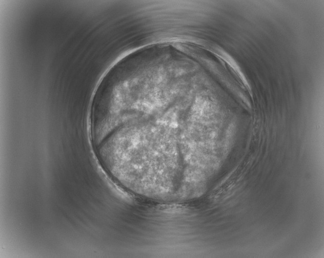 X0000074340811200609230116